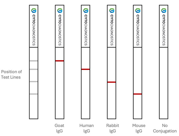 Conjugation QC Lateral Flow Dipstick Kit