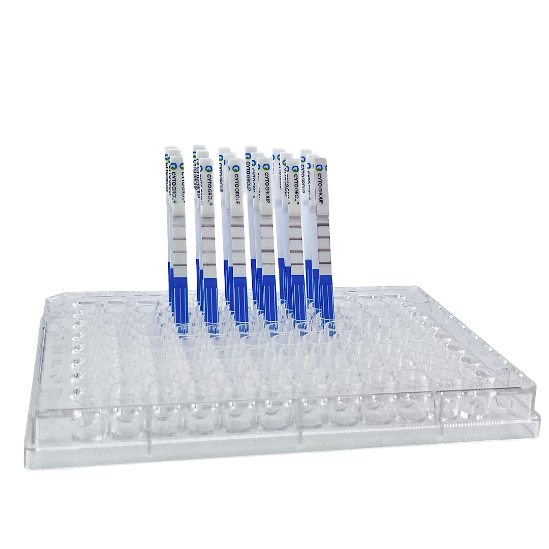 Lateral Flow Assay