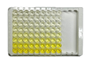 Human IgG ELISA Kit