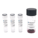 15nm NHS-Activated Gold Nanoparticle Conjugation Kit