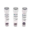 20nm AptamerREADY Gold Nanoparticle Conjugation Kit