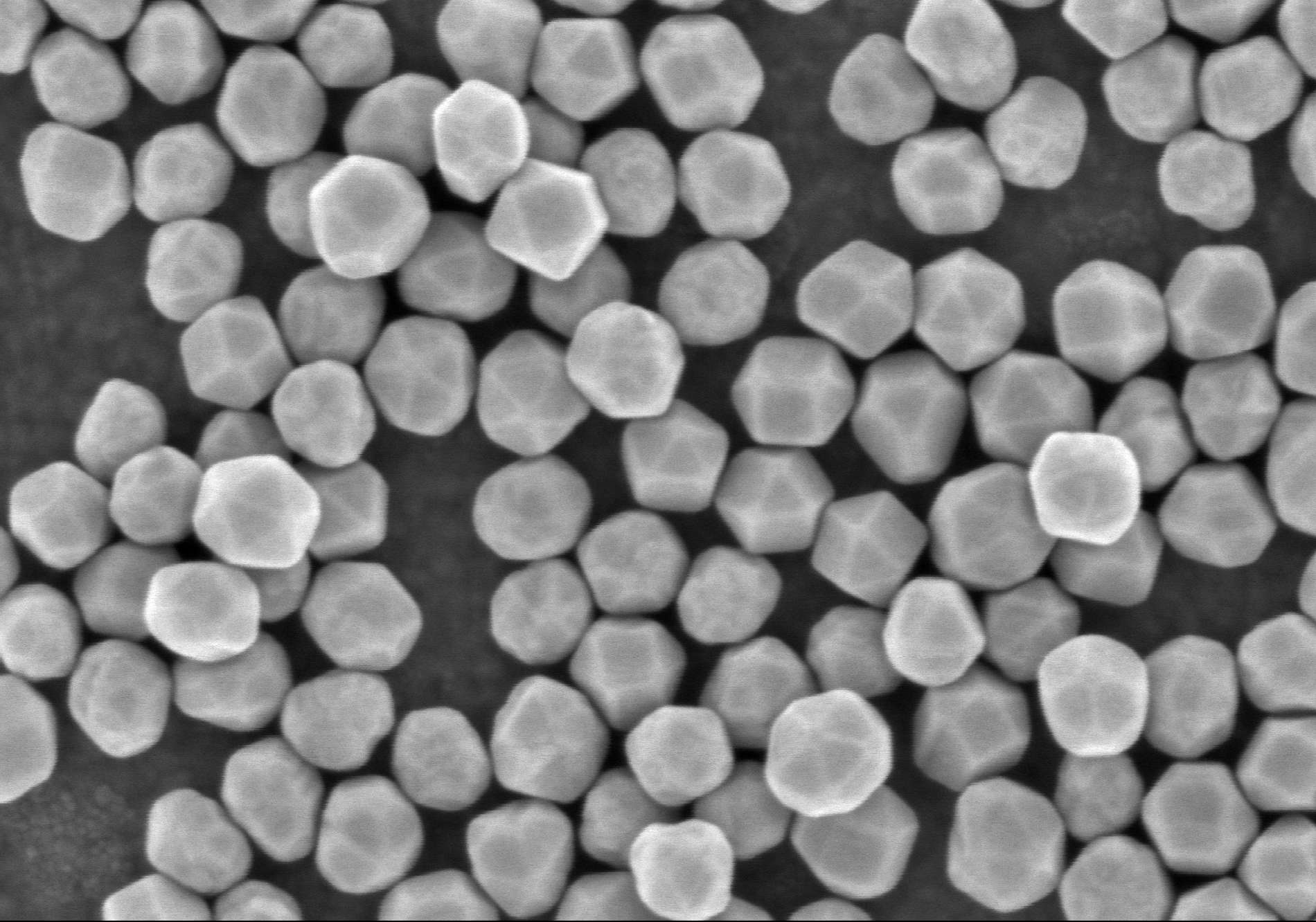 Sem gold nanoparticles 1 45ec832a a8e5 47f3 859b 77e80025e46d