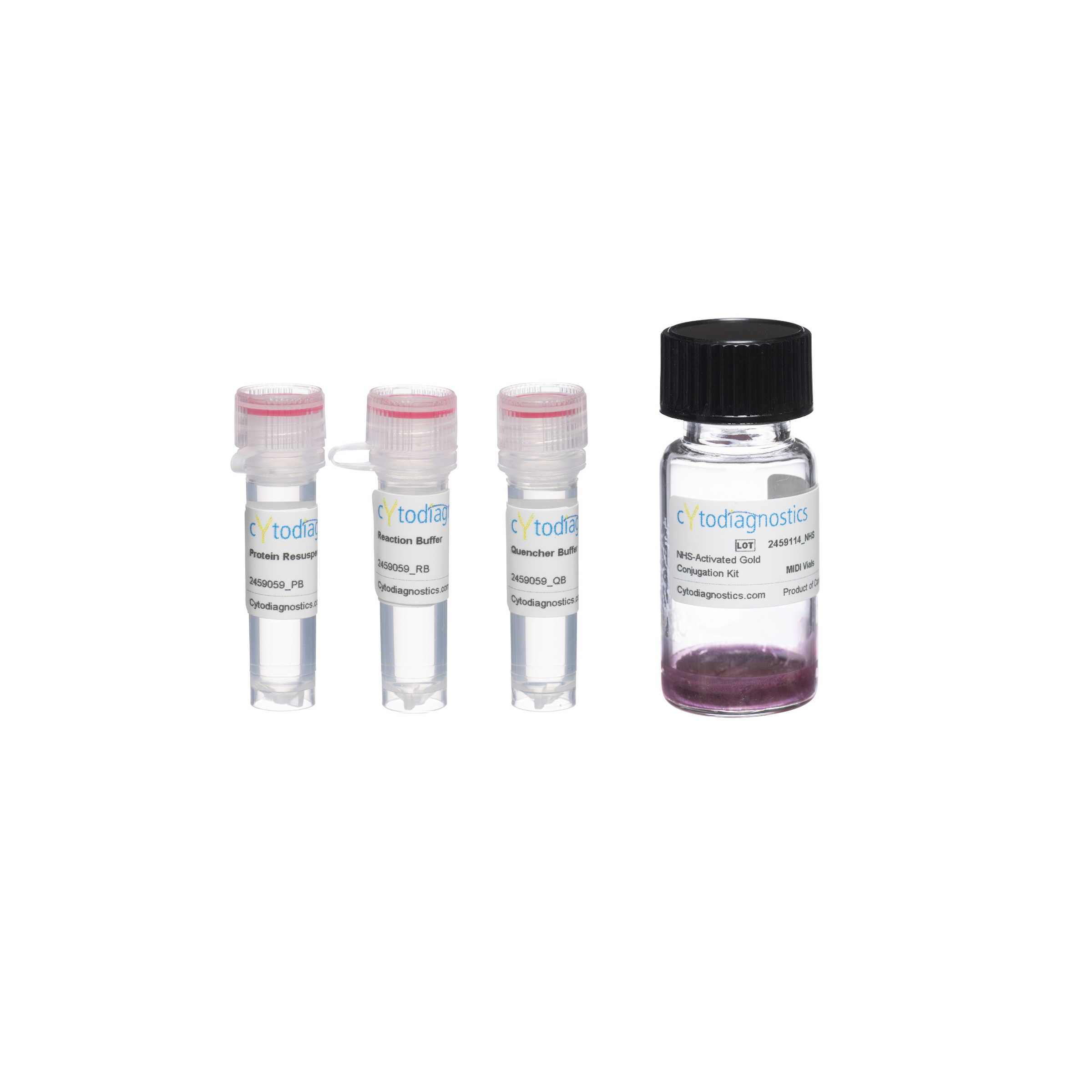 10nm Maleimide-Activated Gold Nanoparticle Conjugation Kit (MIDI Scale ...